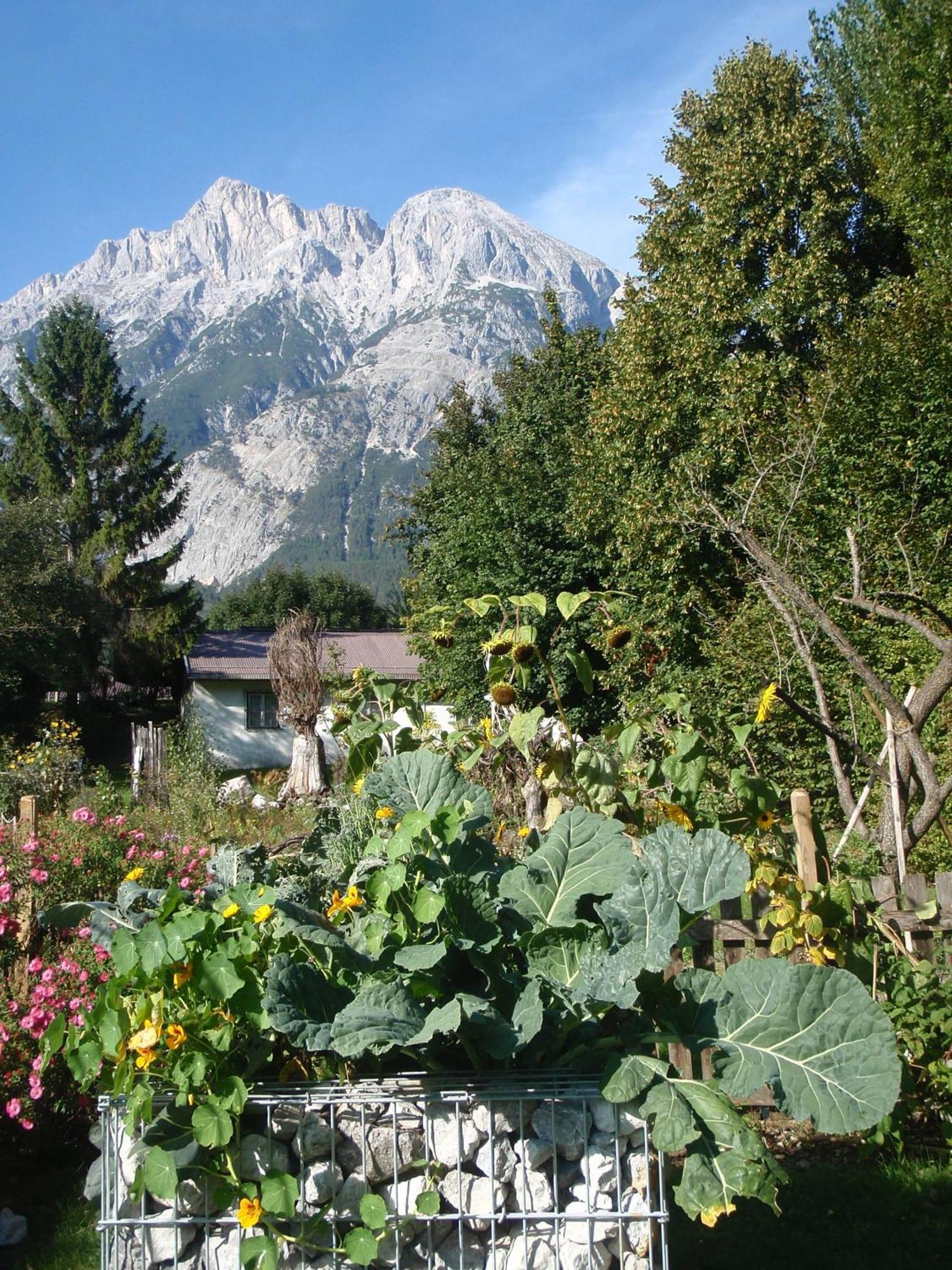 Bed and Breakfast Telfer Stubm Telfs Exteriér fotografie