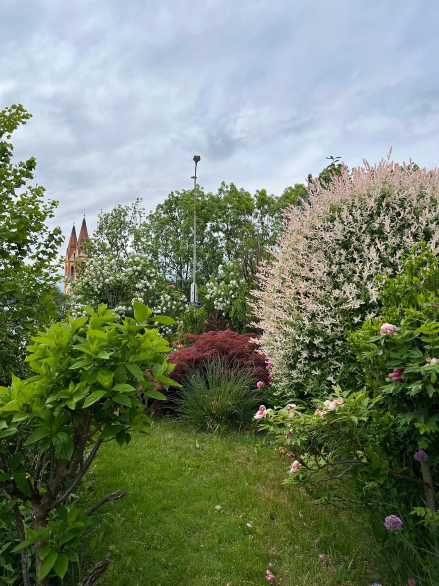Bed and Breakfast Telfer Stubm Telfs Exteriér fotografie